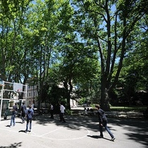 cour clg 7