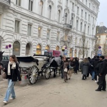 Vienne 8